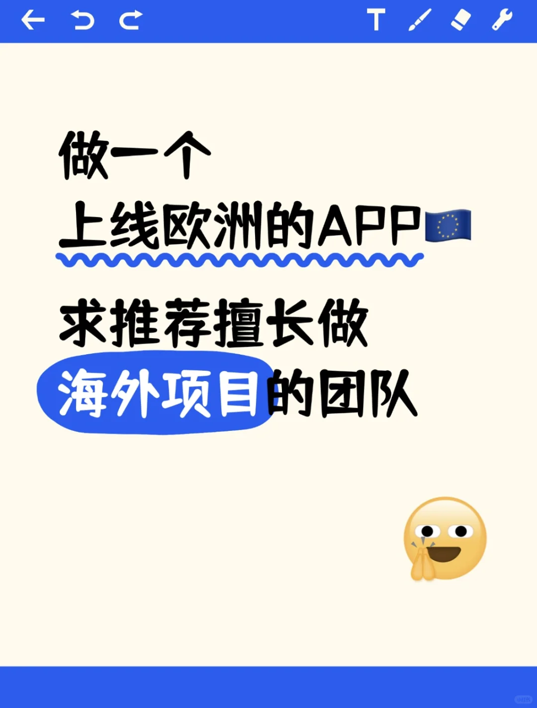 有没有擅长做海外APP的技术团队呀？