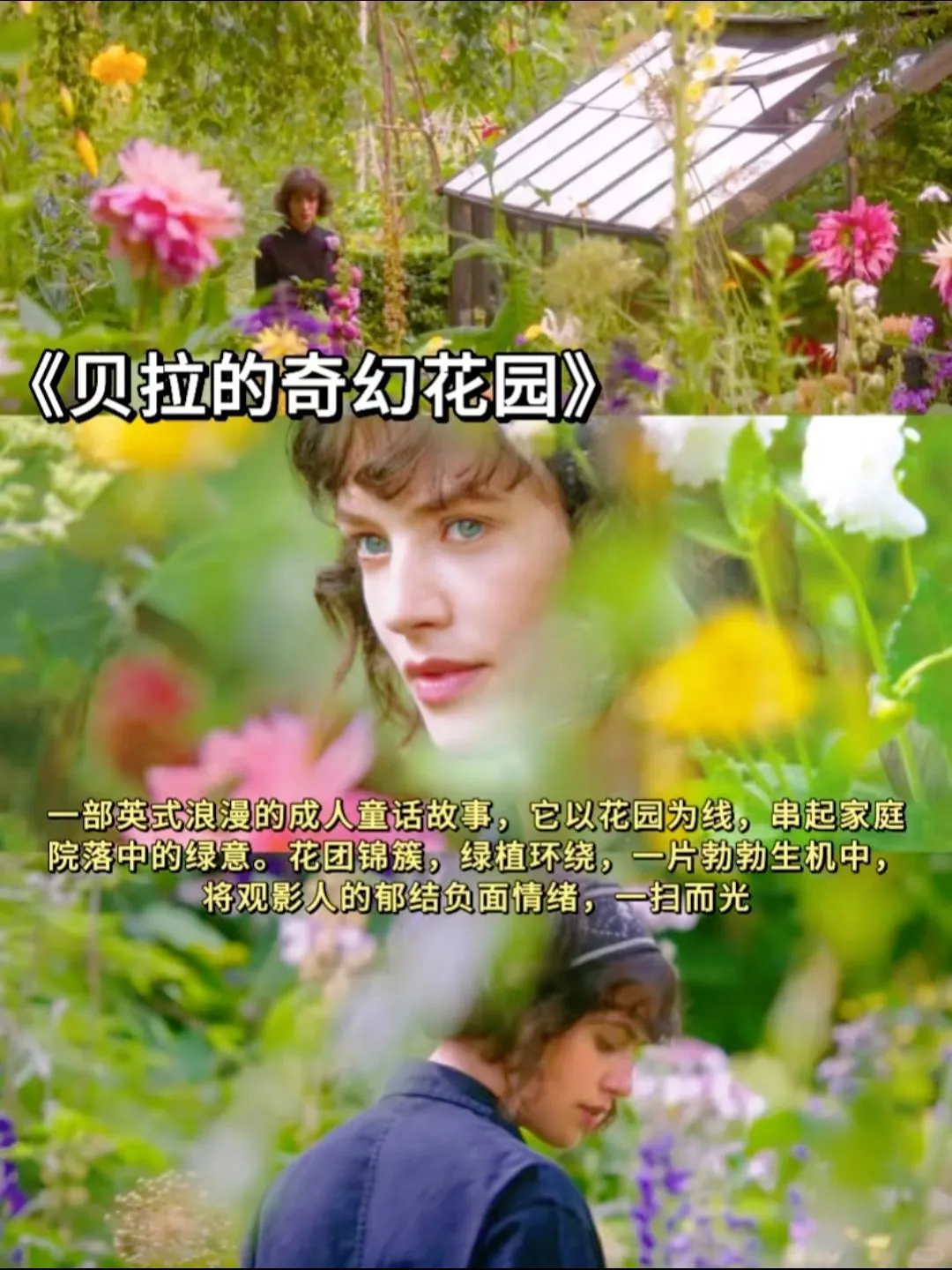 春日必看的10部氛围电影、高分治愈系电影