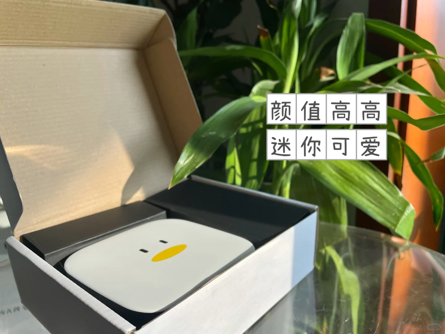 电视盒子纠结很久选了它，拿到手后我真香了