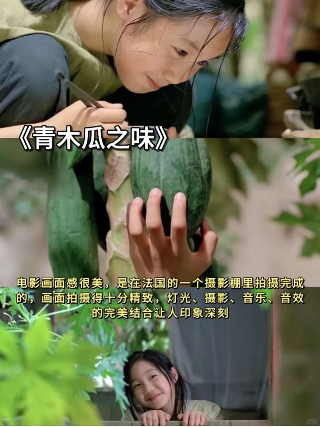 春日必看的10部氛围电影、高分治愈系电影