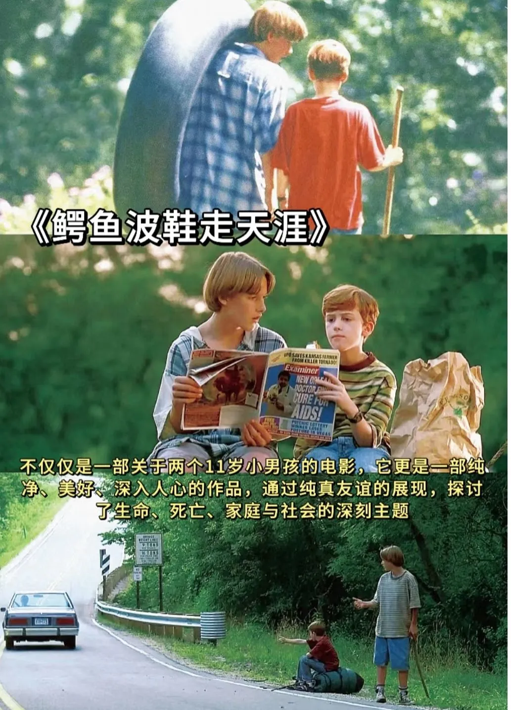 春日必看的10部氛围电影、高分治愈系电影