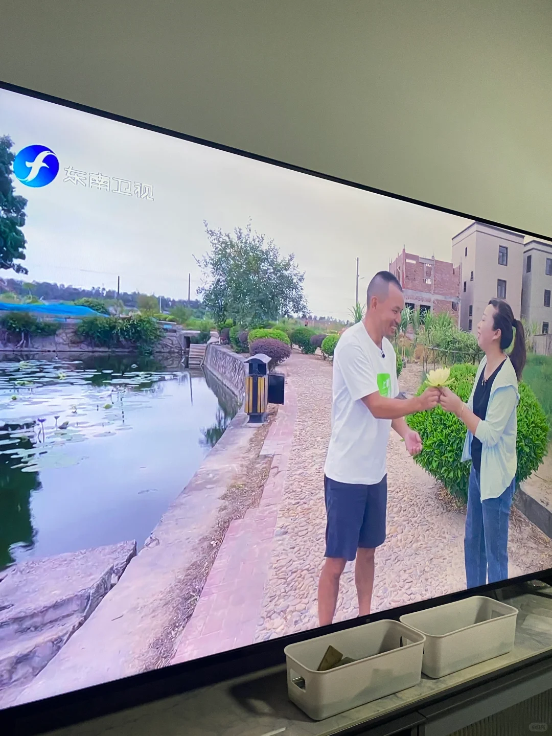 周末太适合看电视了直播内容精彩追剧清爽