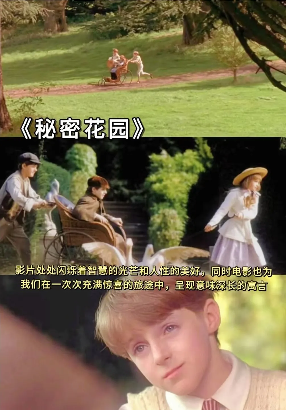 春日必看的10部氛围电影、高分治愈系电影