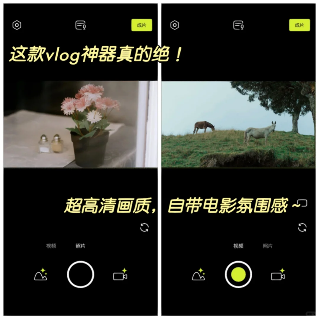 小白必备拍Vlog神器！秒拍出氛围感大片！