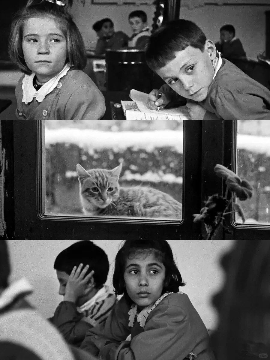 本人最爱的人生电影😭😭没有之一❗😭