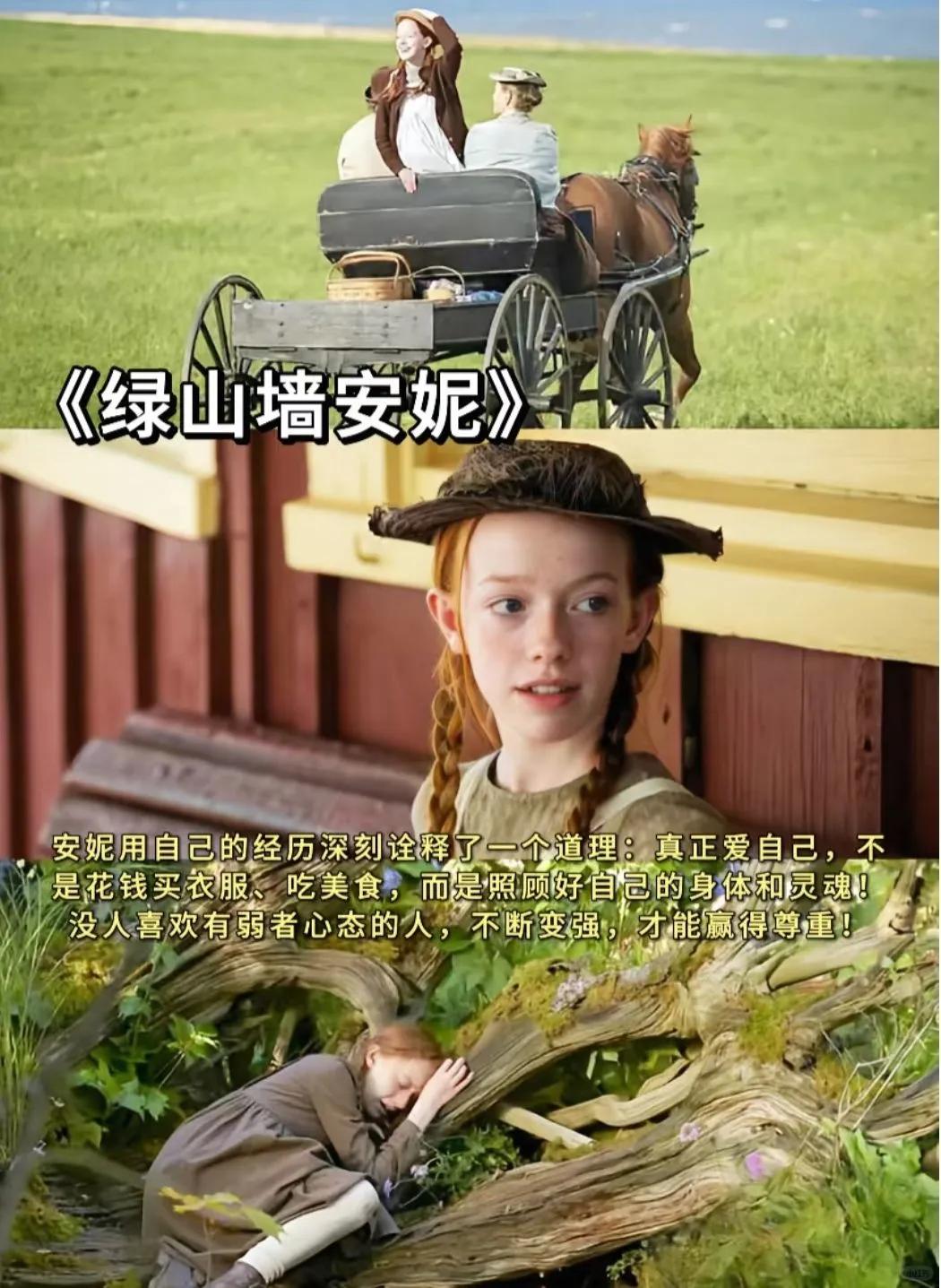 春日必看的10部氛围电影、高分治愈系电影