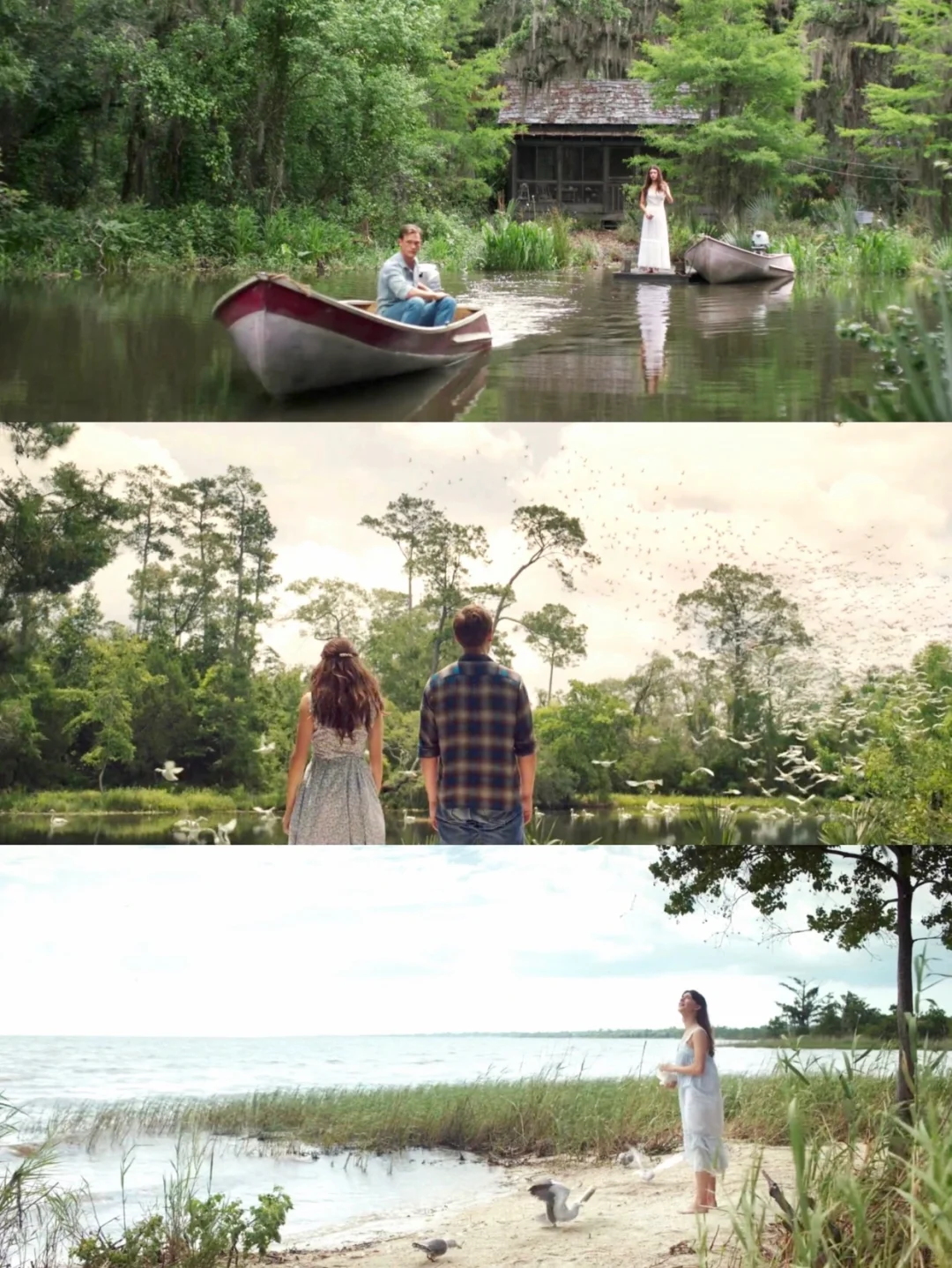 性格太软，请狂刷这部电影‼️