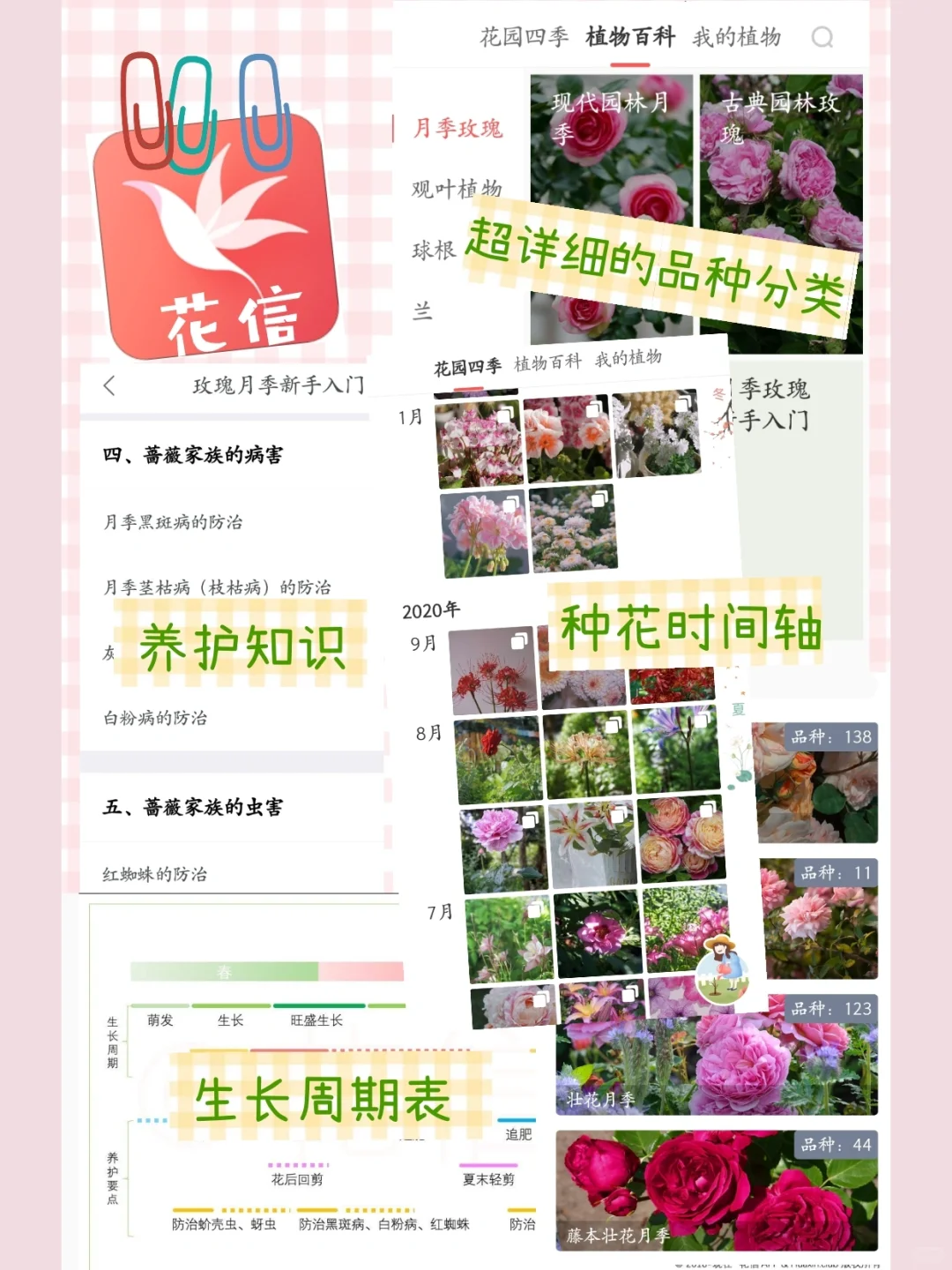 干货分享‖自用养花APP推荐