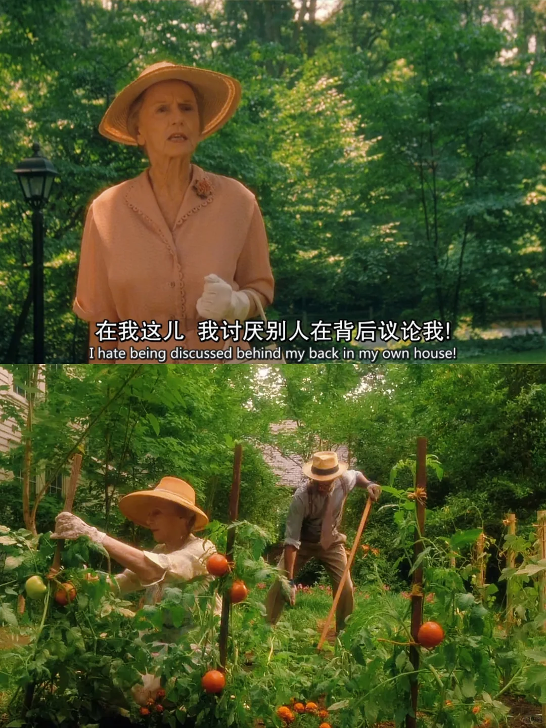 完全不输《绿皮书》的电影😭后劲太大了❗️❗️❗️