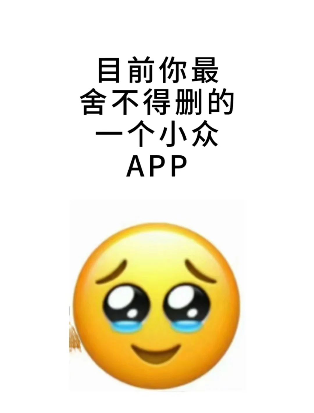 目前你最舍不得删的小众app是啥