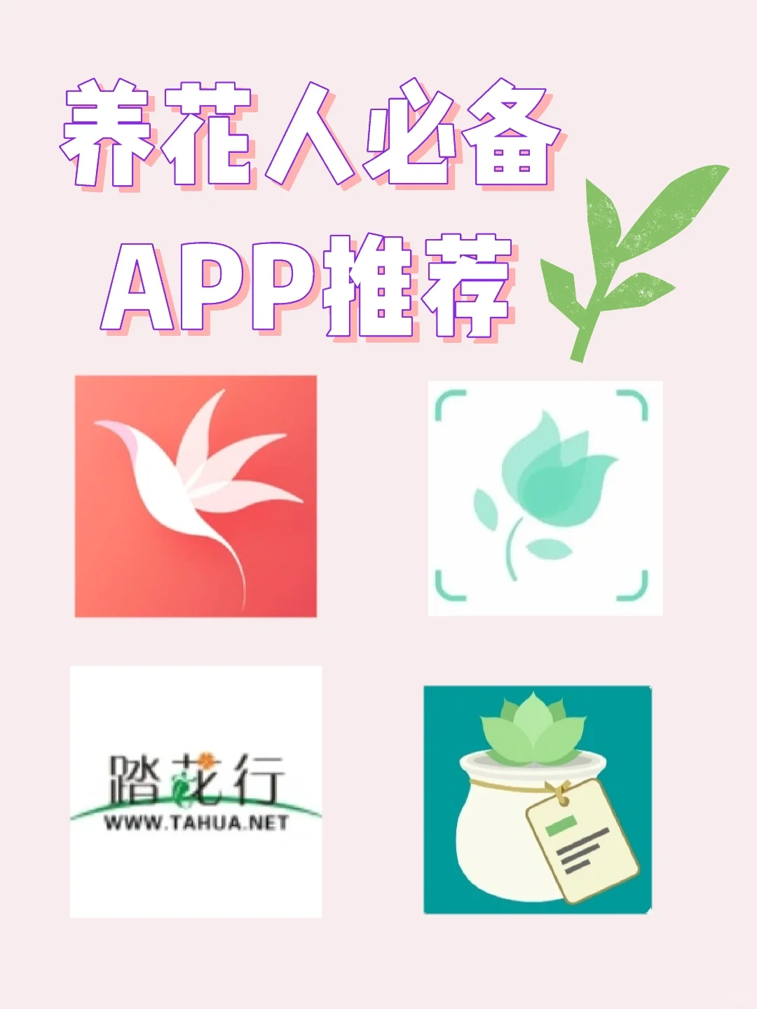 干货分享‖自用养花APP推荐