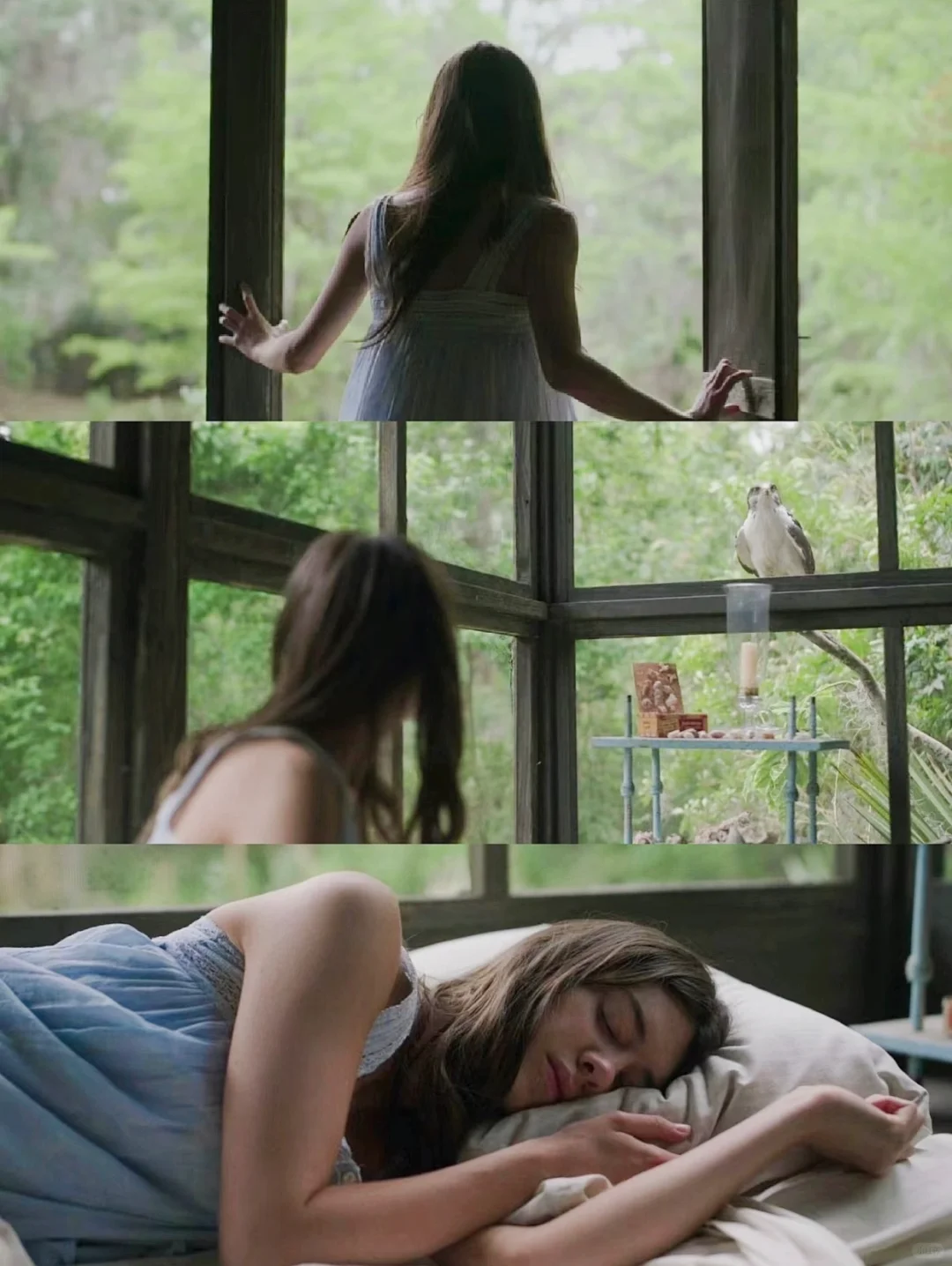 性格太软，请狂刷这部电影‼️