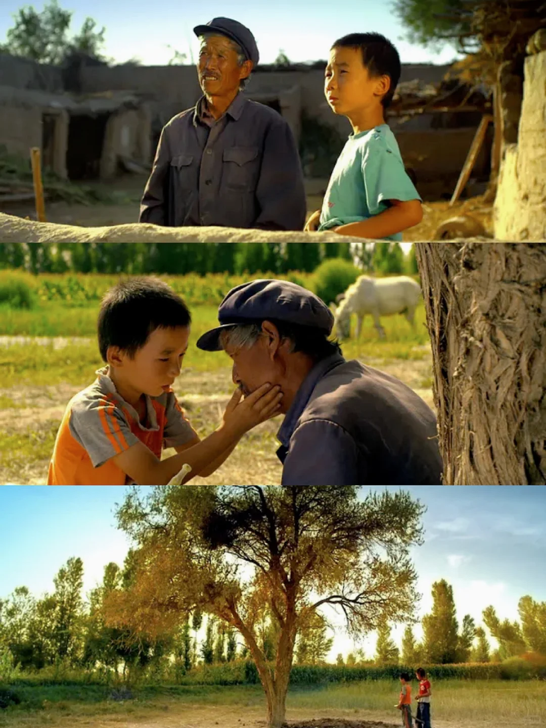 😭哭到窒息‼️一部不敢看第二遍的电影…