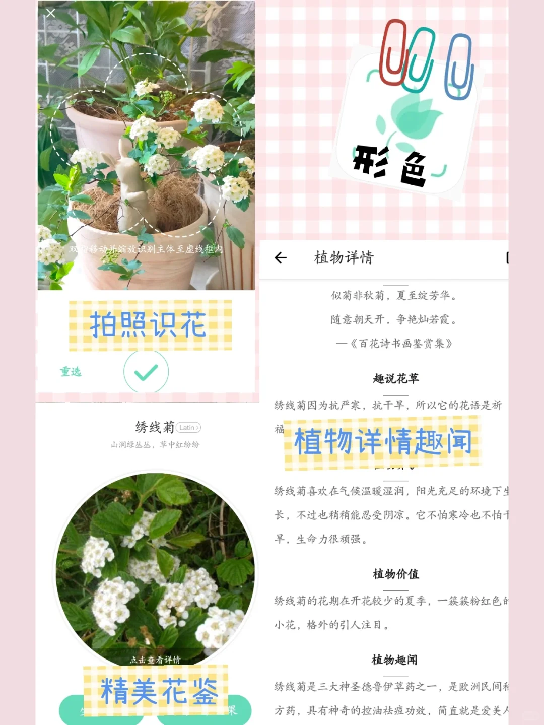 干货分享‖自用养花APP推荐