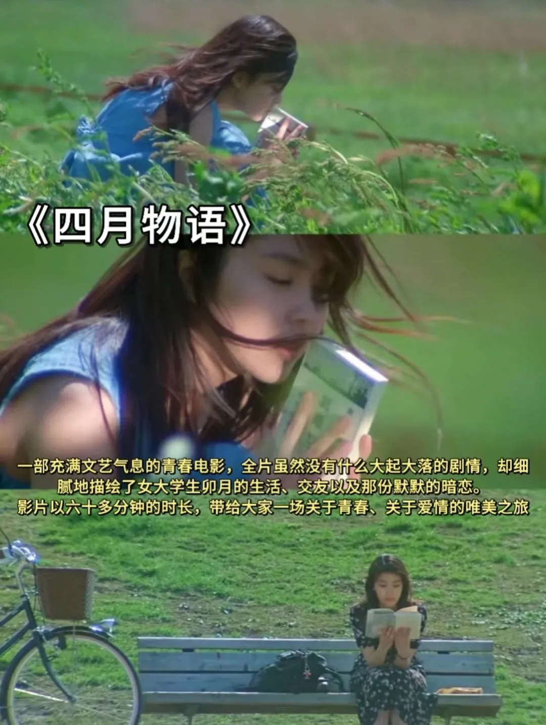 春日必看的10部氛围电影、高分治愈系电影