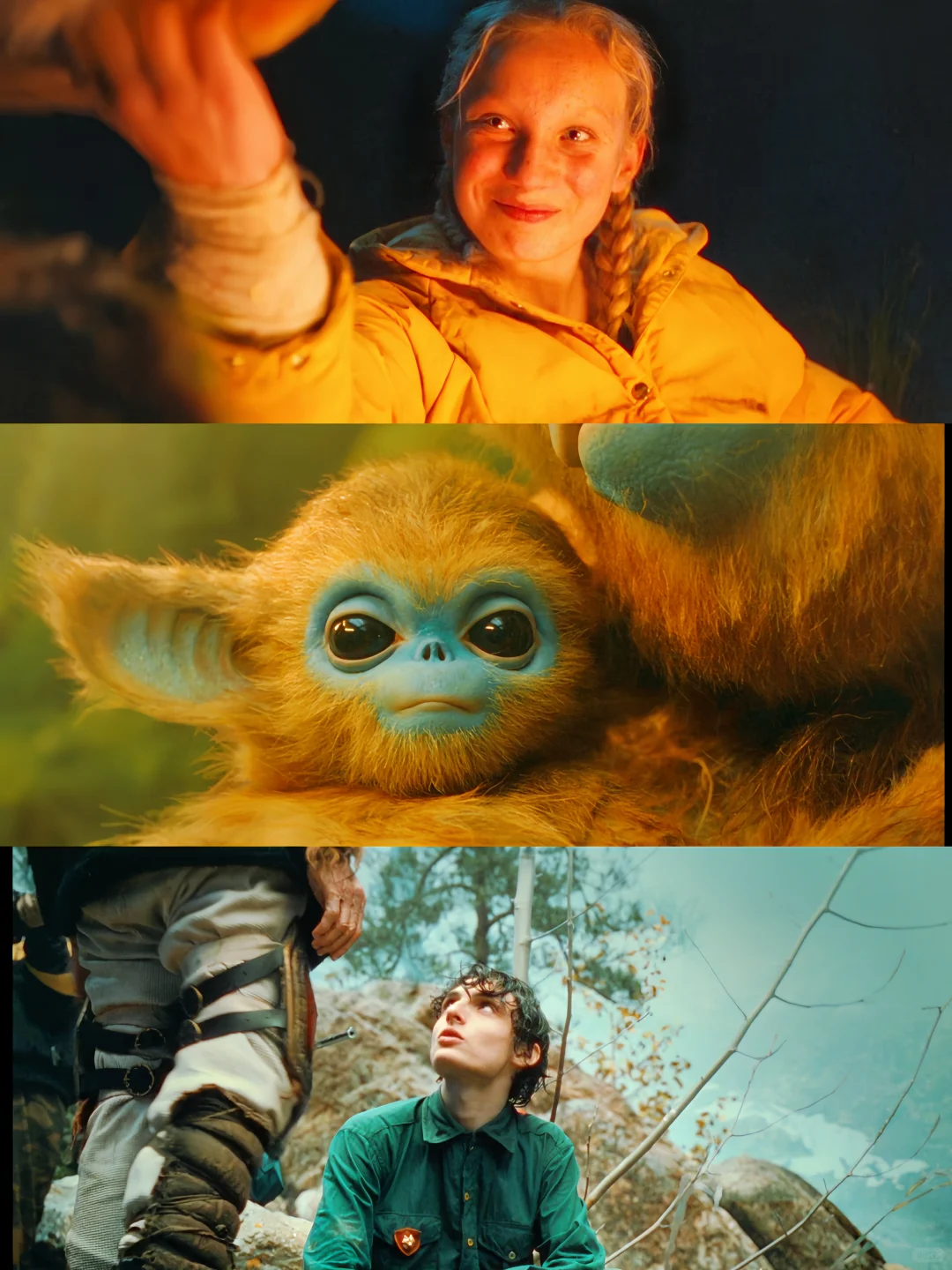 ❤️💛2025最新奇幻片❤️只看画面就超值