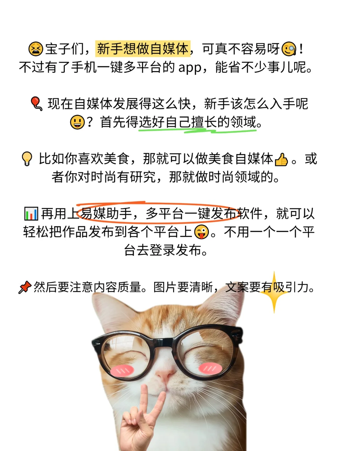 手机一键多平台app,新手怎么做自媒体?
