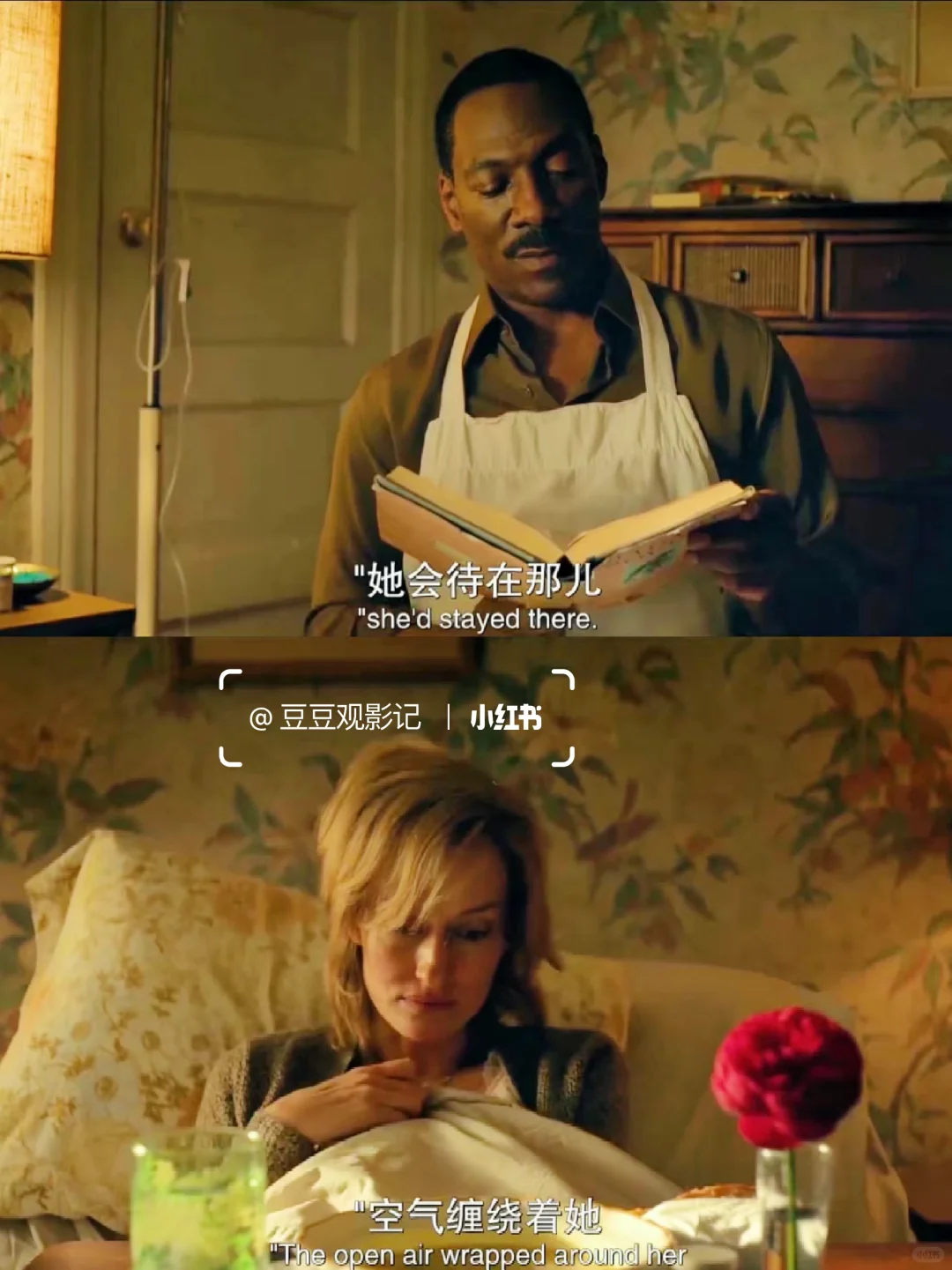 近期看过最舒服的电影‼️太温暖治愈了‼️