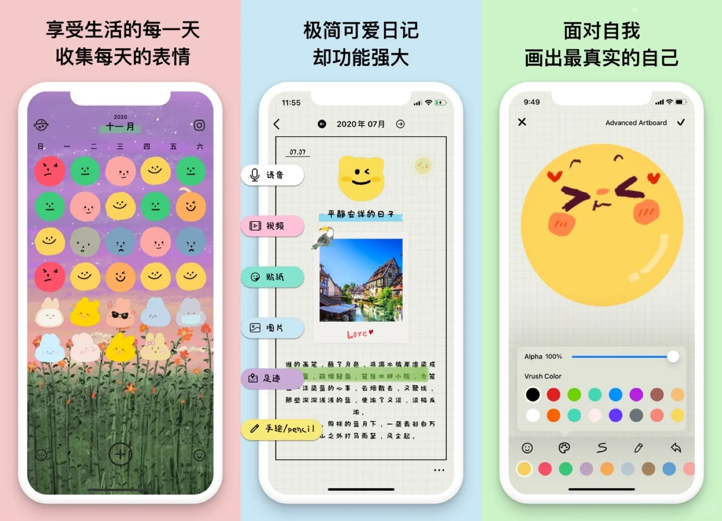 10款记录wpp深度测评✍️