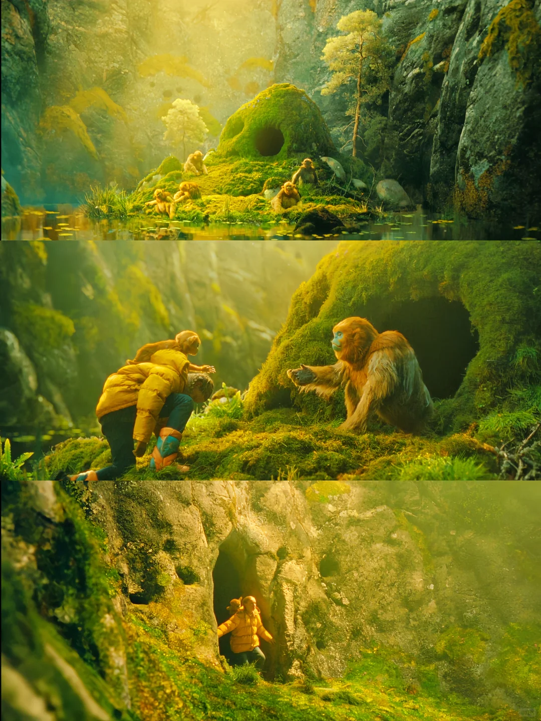 ❤️💛2025最新奇幻片❤️只看画面就超值