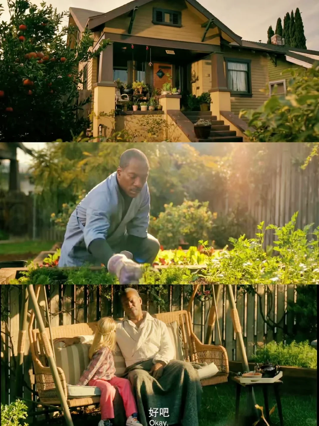 近期看过最舒服的电影‼️太温暖治愈了‼️