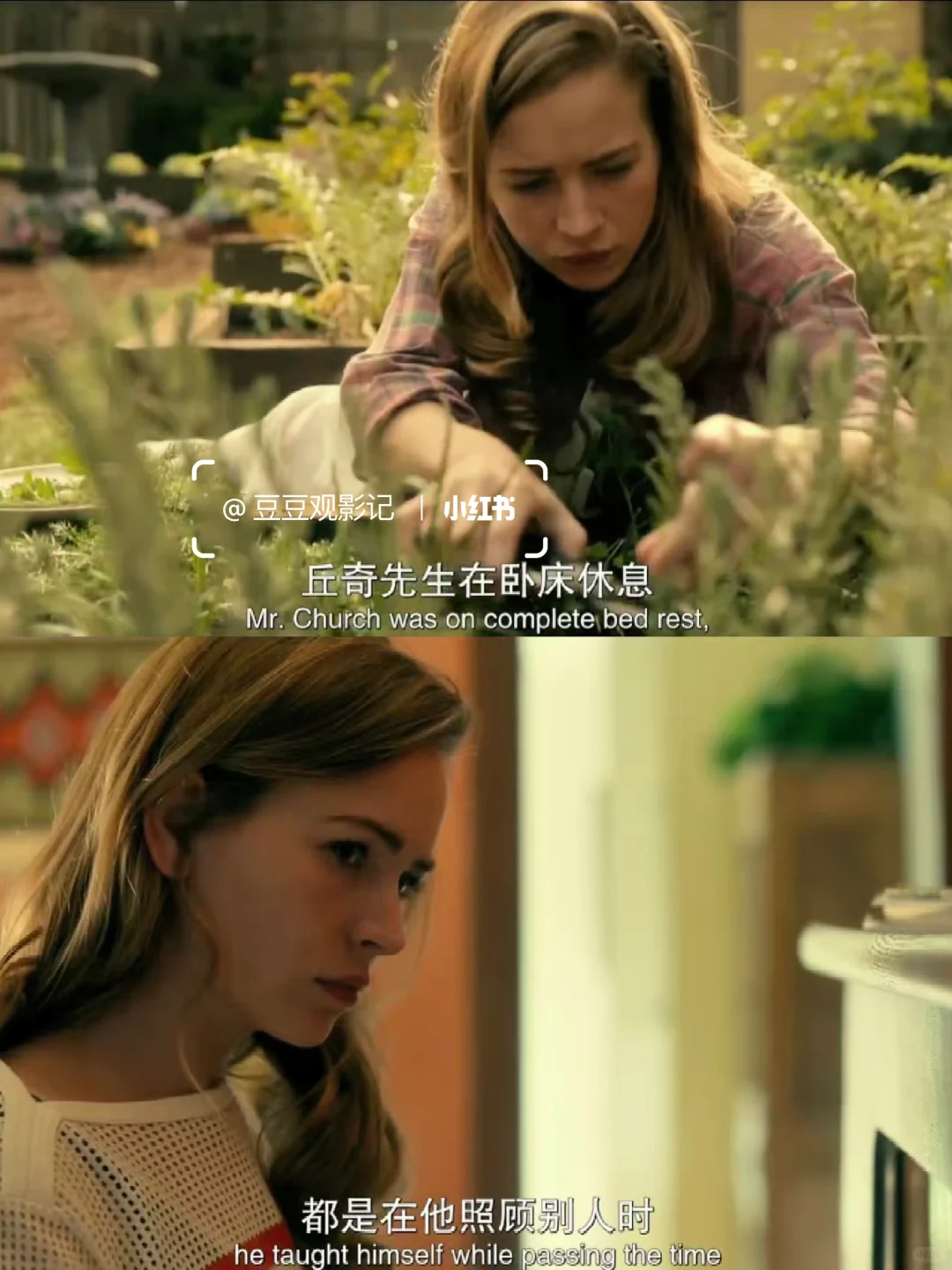 近期看过最舒服的电影‼️太温暖治愈了‼️