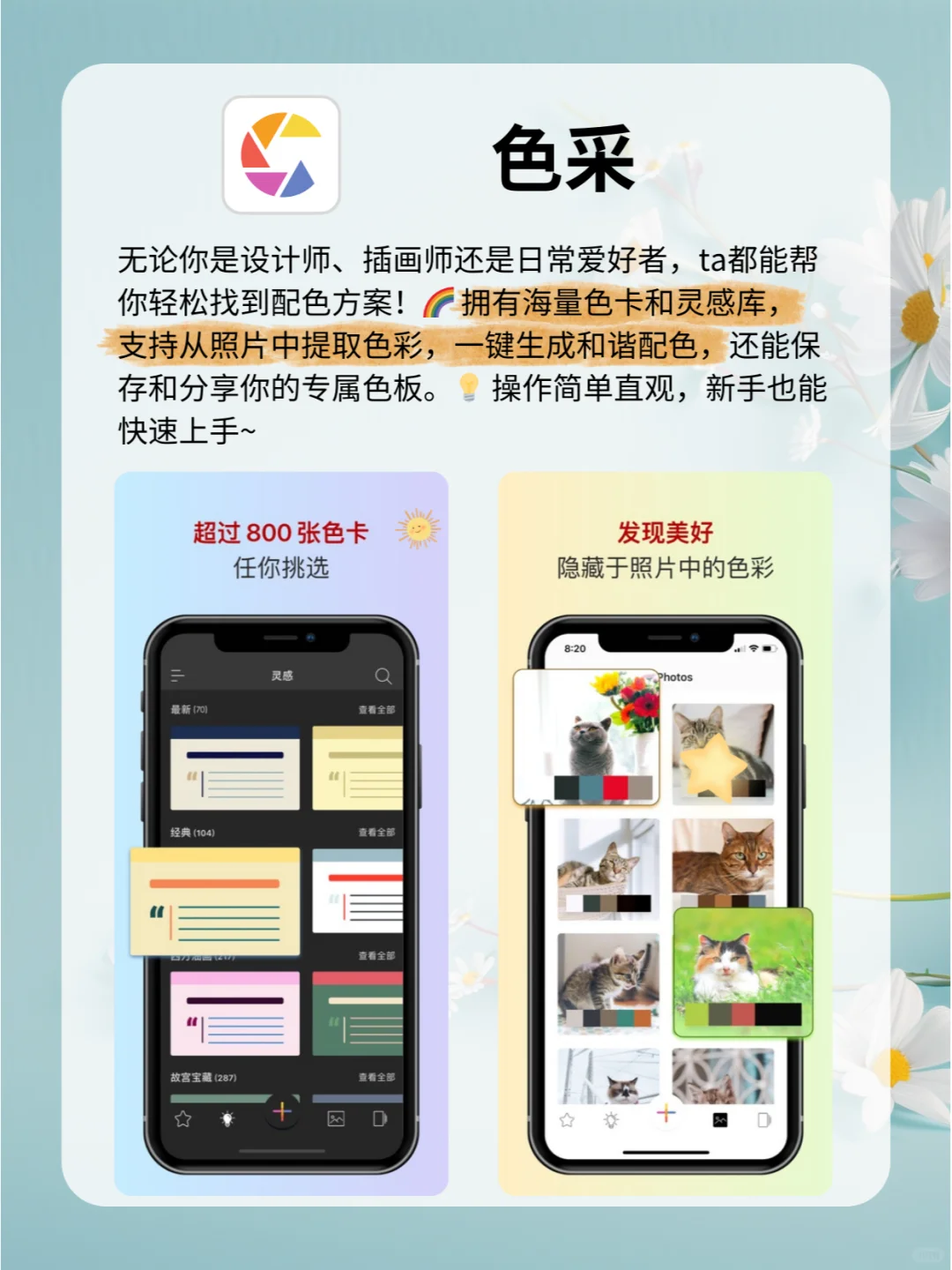 🔥 4款APP搞定海报制作！超简单