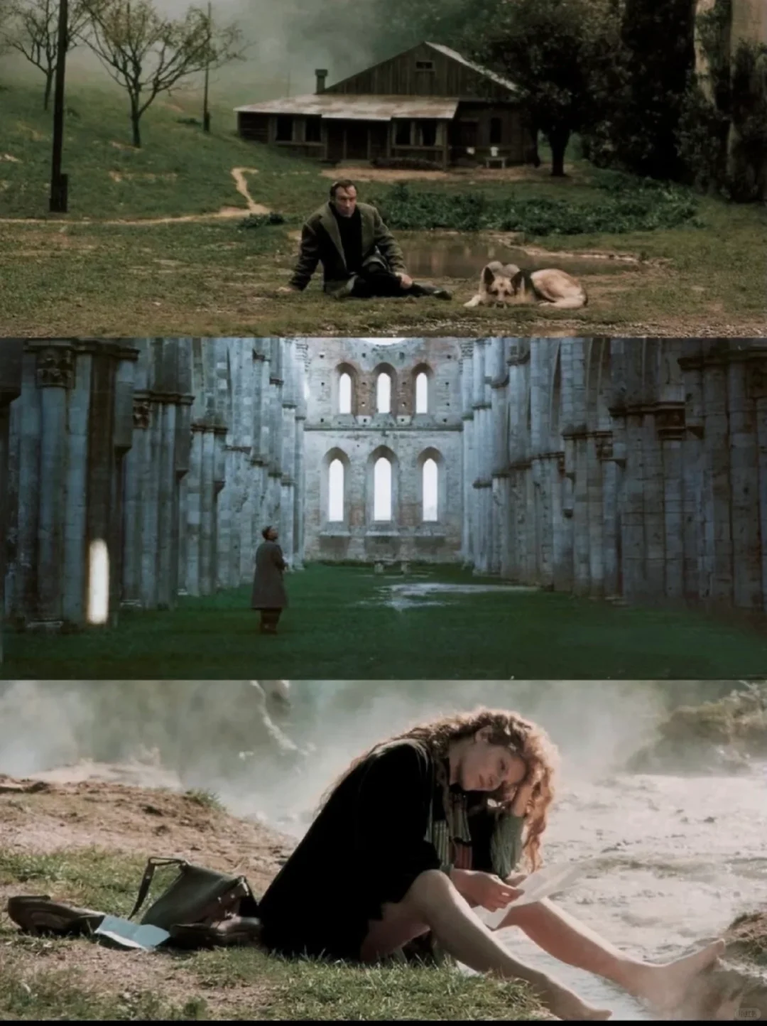 震撼❗️反复看了好几遍，诗意美学天花板❗️❗️