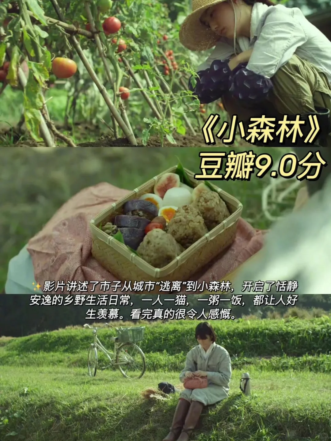 巨幸福❗️巨治愈❗️7⃣️部高分美食影单