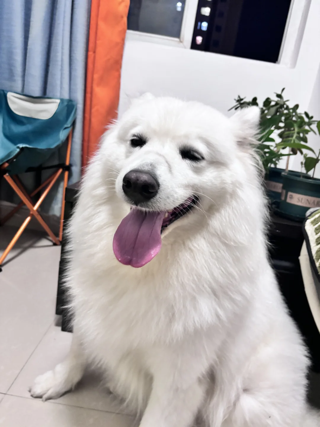 腾讯换个优酷看看