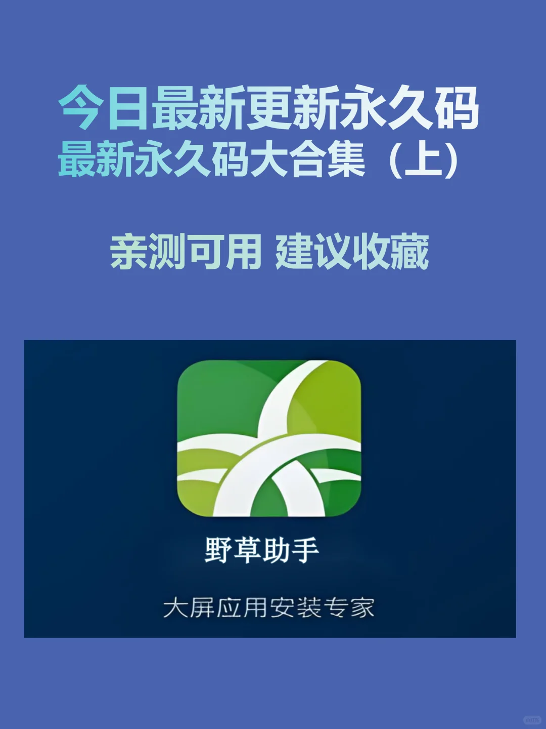 今日最新组合码合集分享，亲测可用