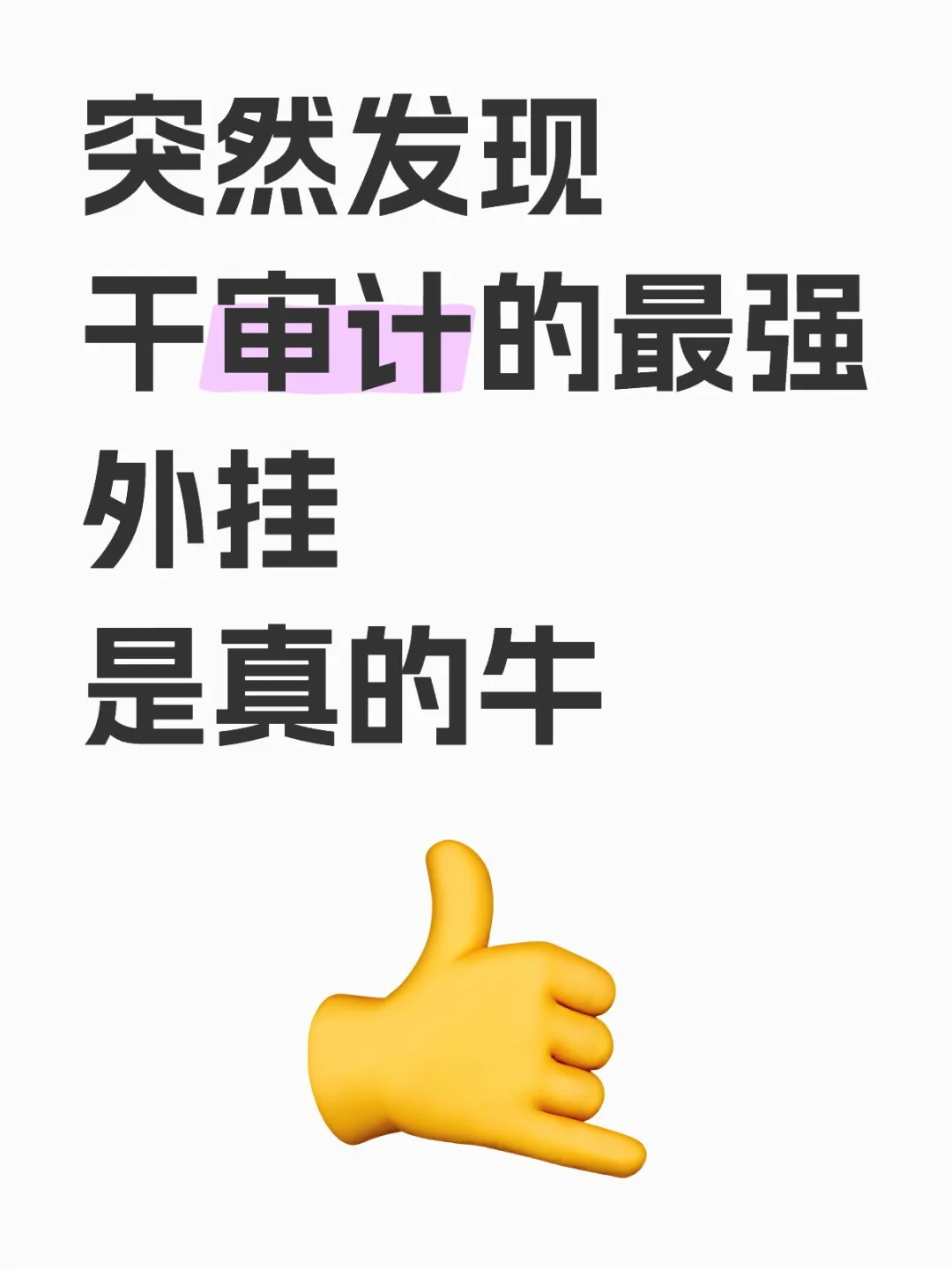 发现了干审计的最强外挂，是真牛🐮
