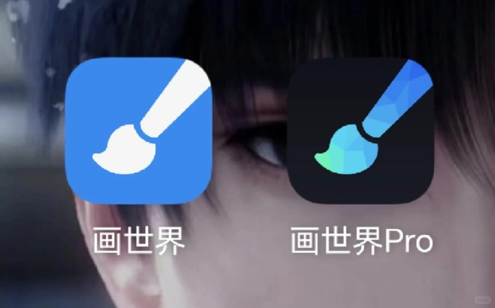 画世界两个软件有什么区别？