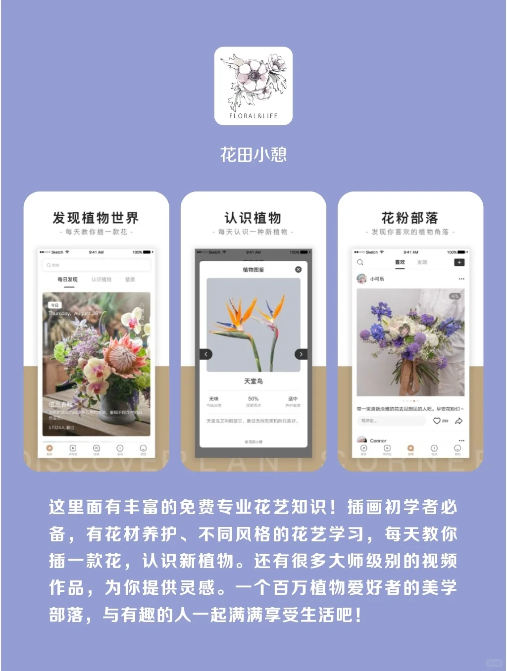 冷门高级自我提升APP‼️早用早受益‼️