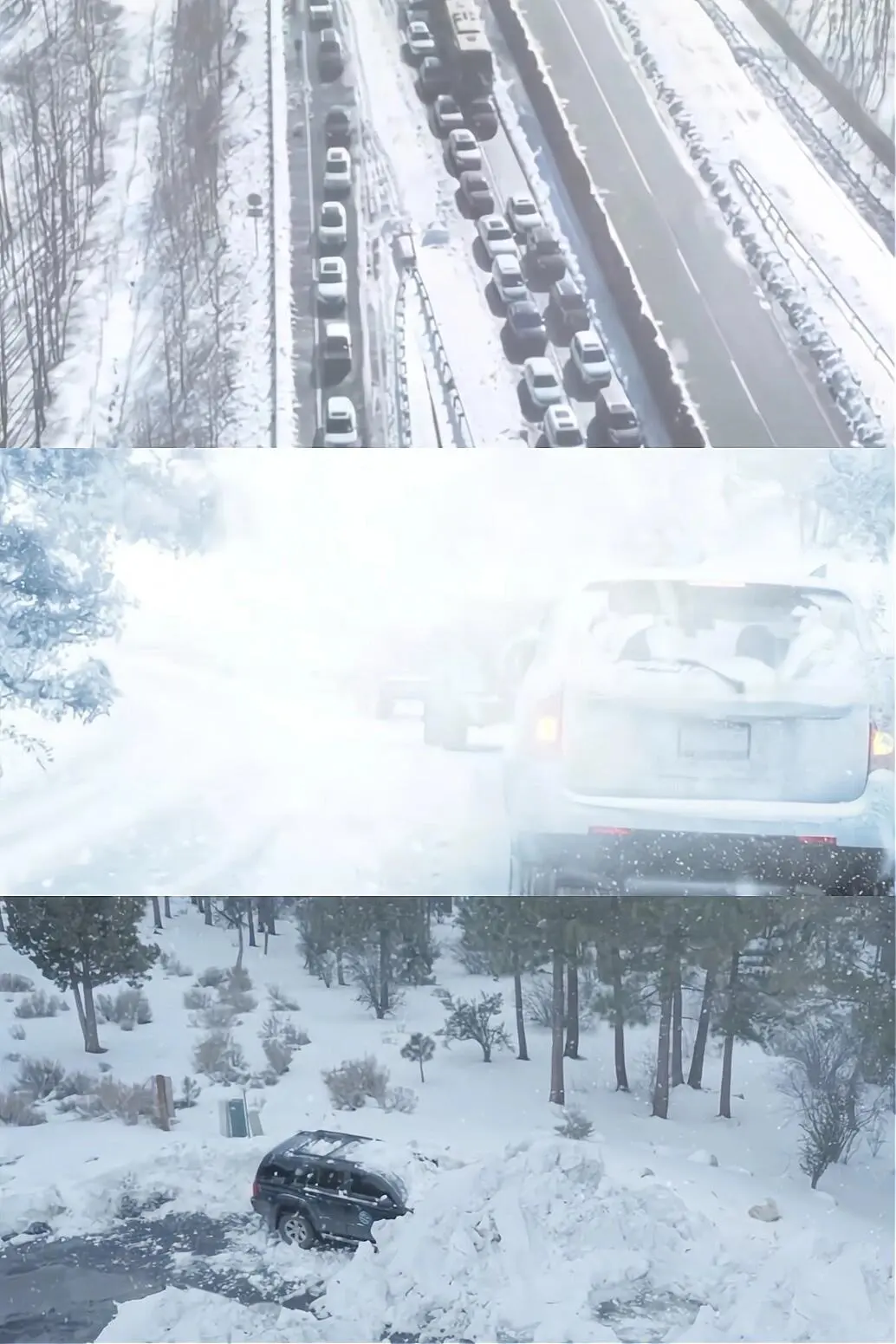 精彩影视，我的观影报告