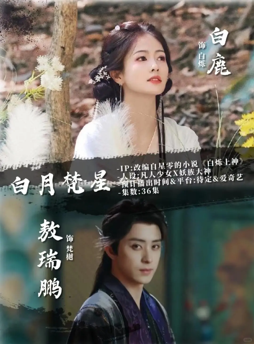 哇塞 什么剧都能看