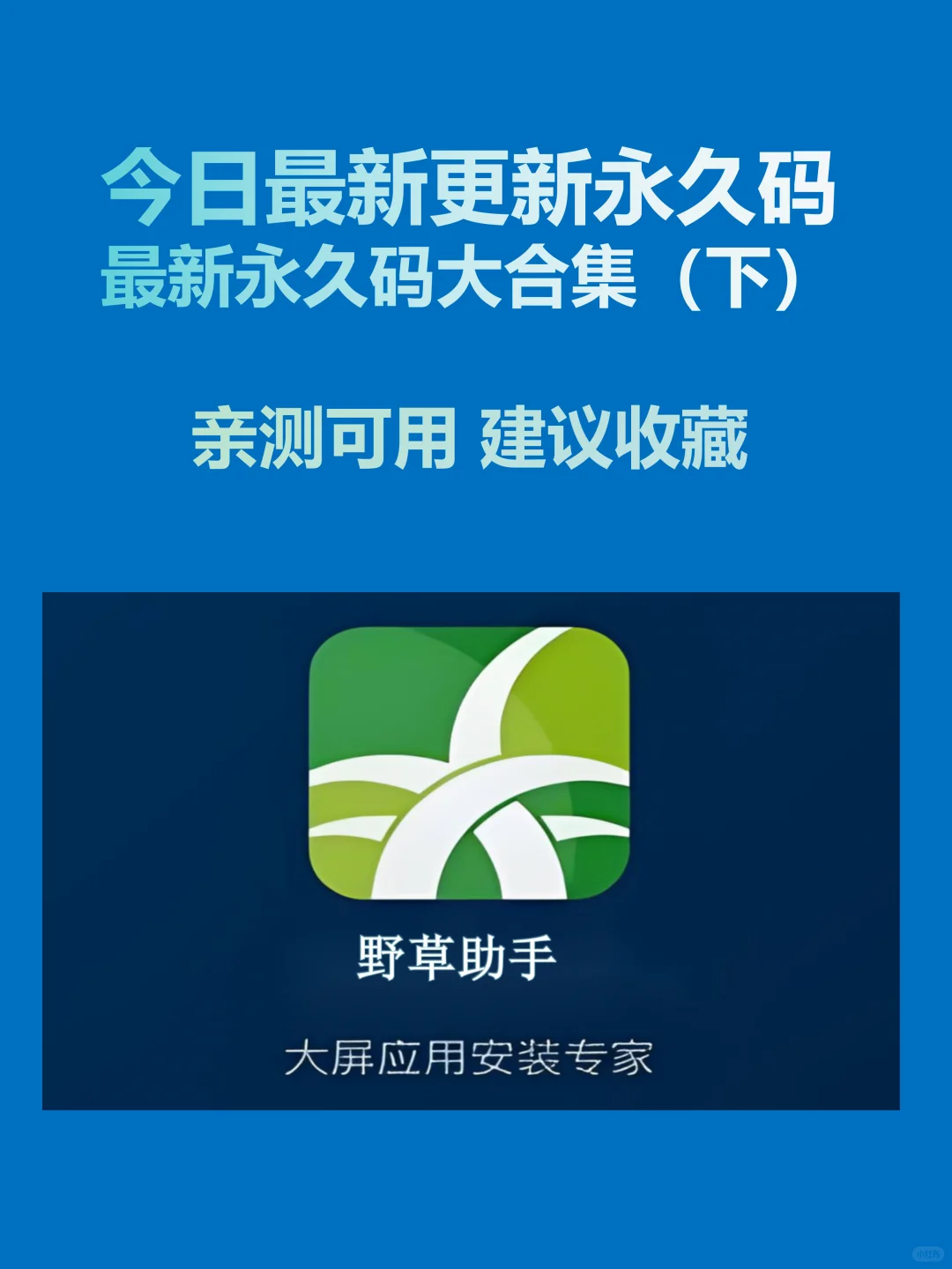 今日最新组合码合集分享