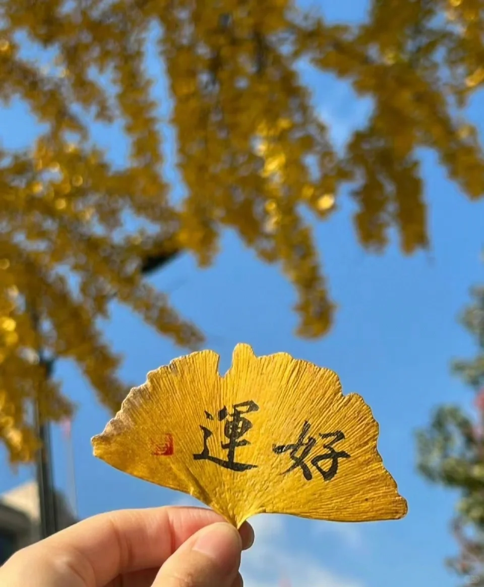 这个盒子很神奇的哟～