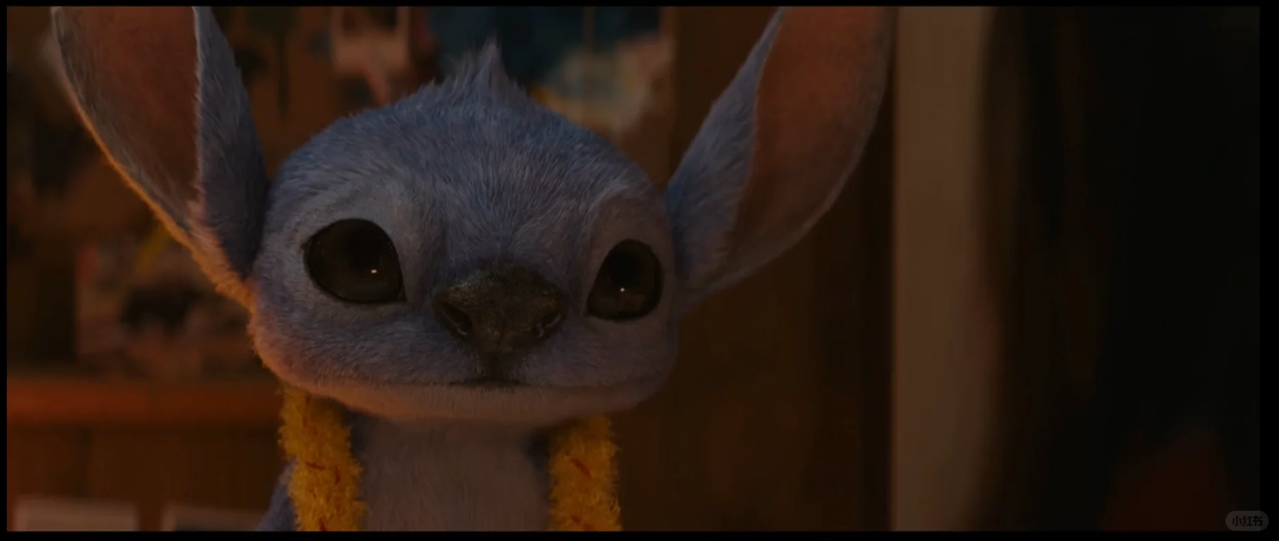 我参与的第一步电影今天全球上映了