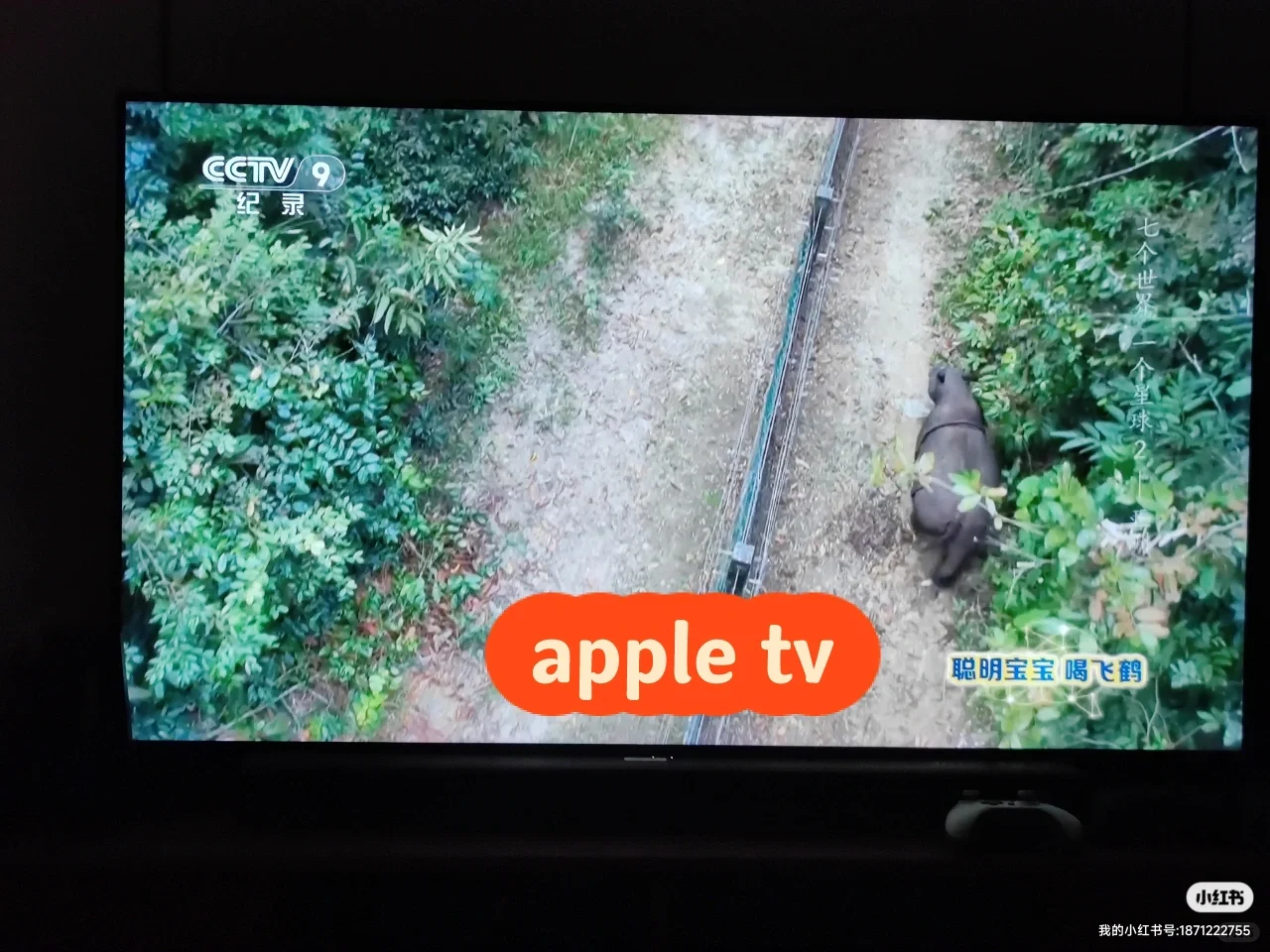 10分钟搞定IPTV组播