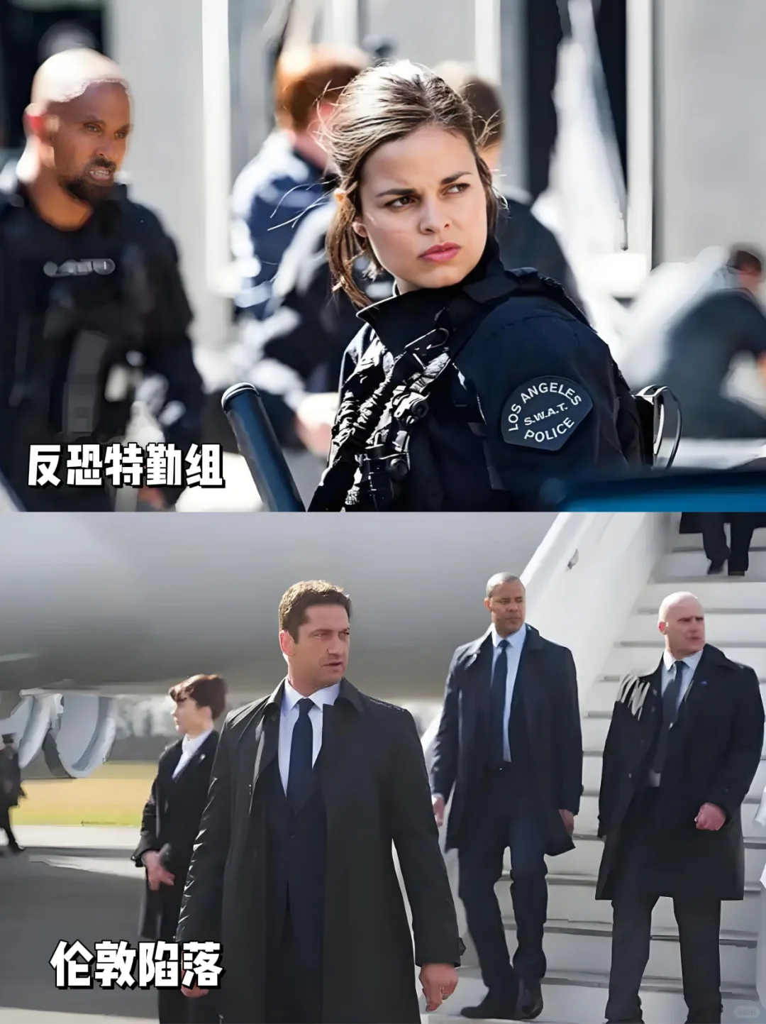 反恐特战片🍎你看过几部‼️