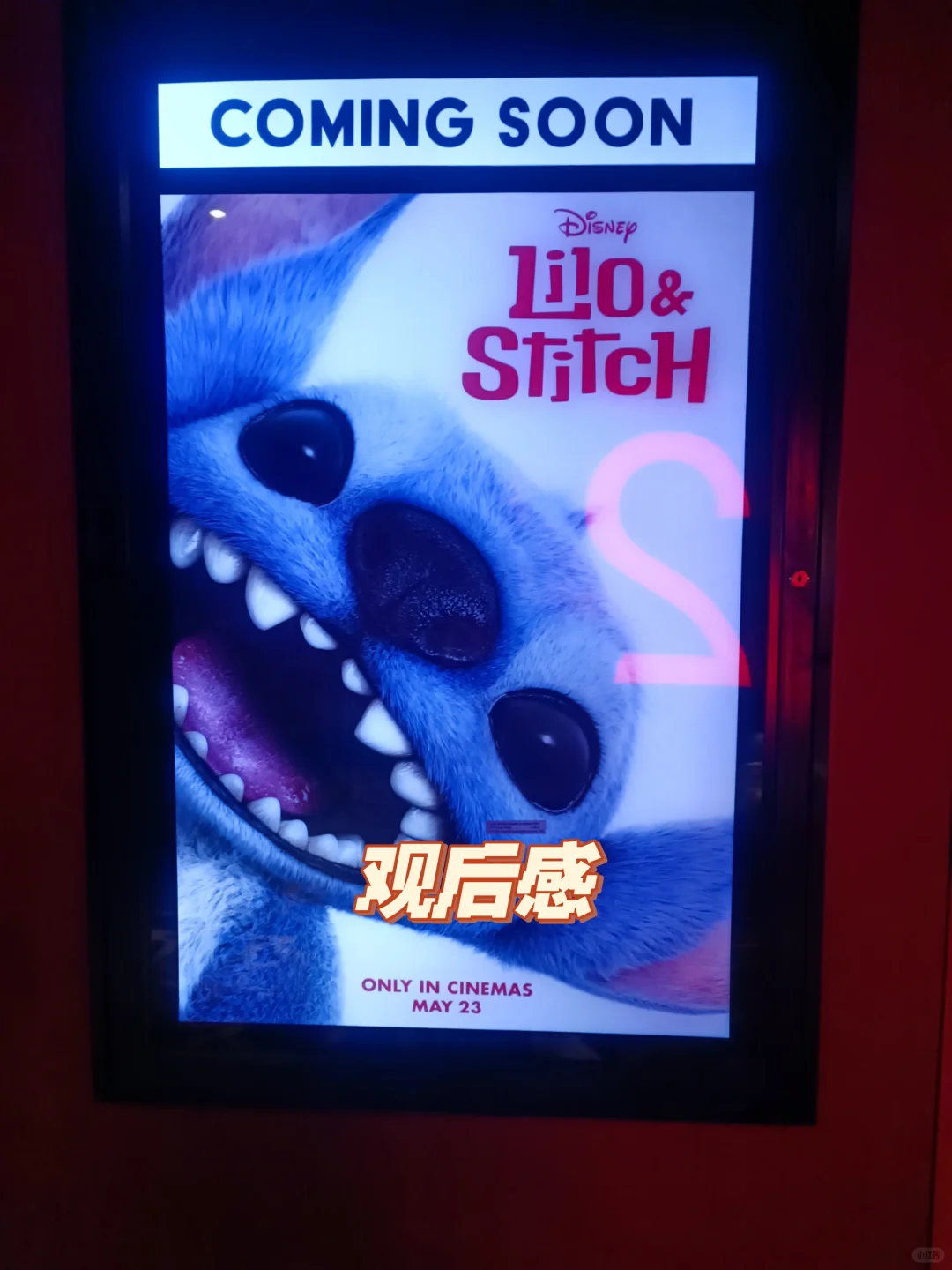 🇲🇾 观后感 | 史迪奇太可爱了