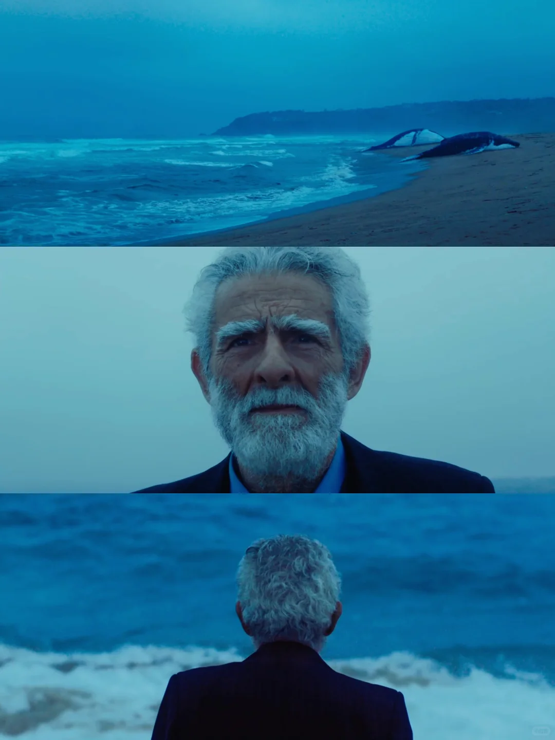 想向全世界推荐这部电影😭后劲真的好大❗️❗️