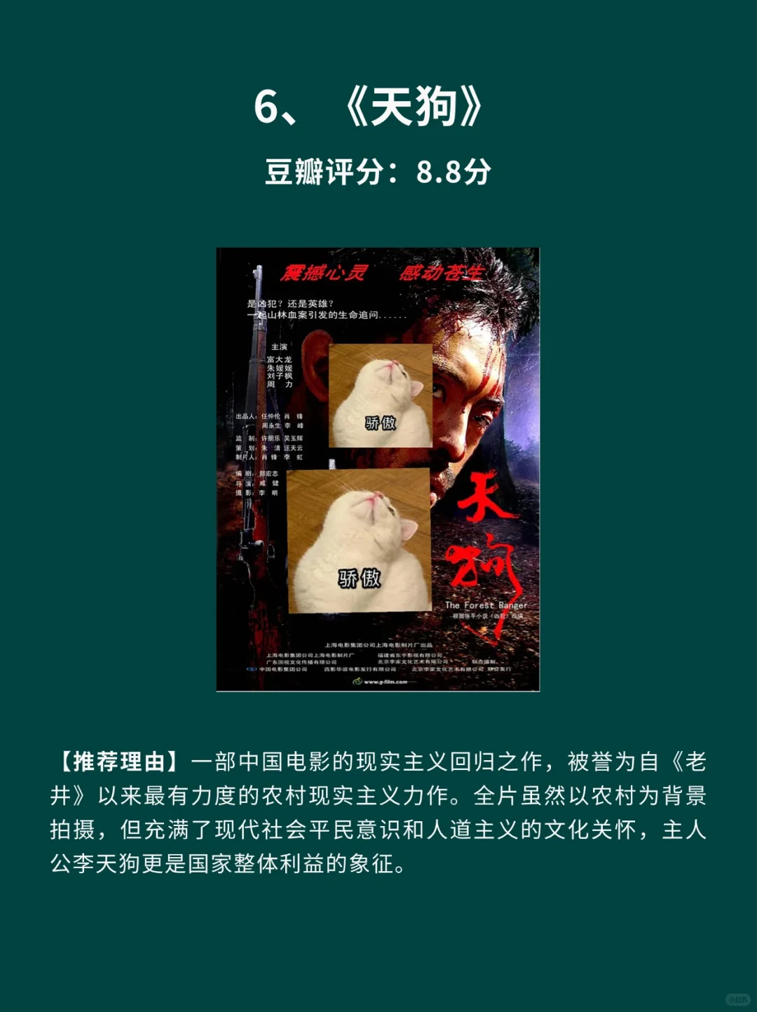 10部反映社会现实国产电影🎦