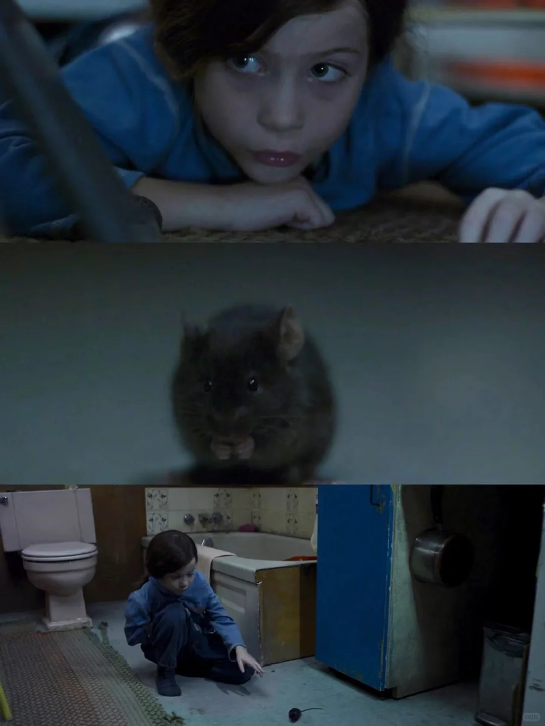 《房间》：于禁锢中绽放生命之光