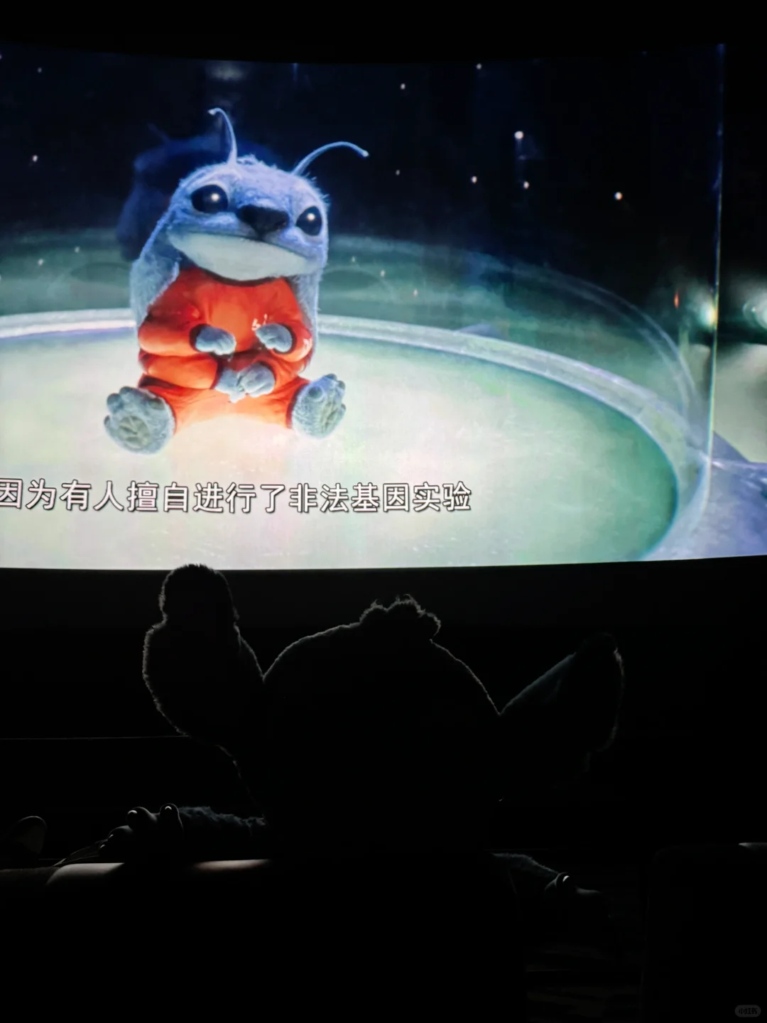 带着我的外星小狗来看史迪仔电影