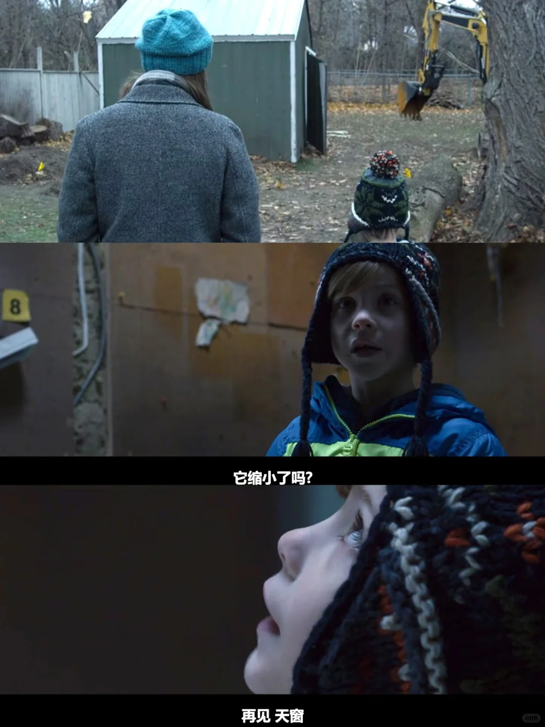 《房间》：于禁锢中绽放生命之光