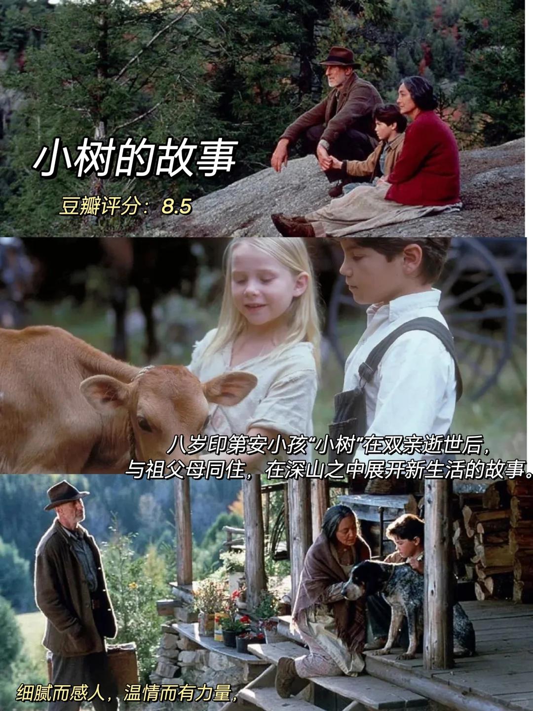 10部高分治愈系电影，睡前宅家周末放松必看