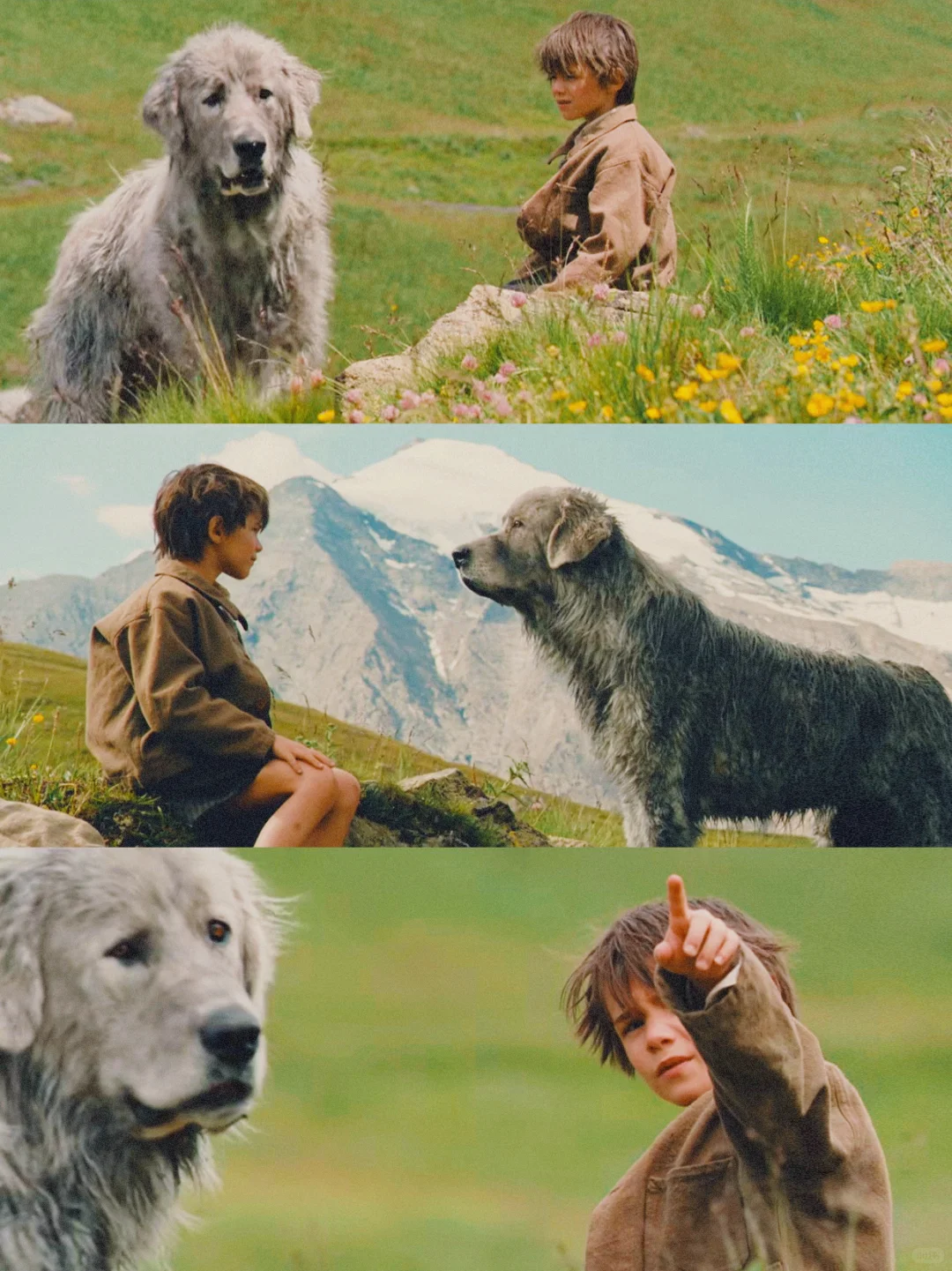 100部电影计划Ⅰ第9️⃣6️⃣部（96/100）