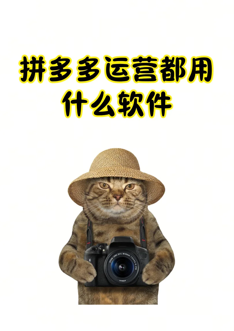 拼多多运营常备软件